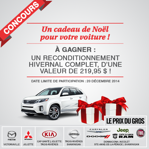 Un cadeau de Noël pour votre voiture!